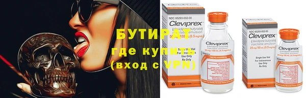 индика Алексин