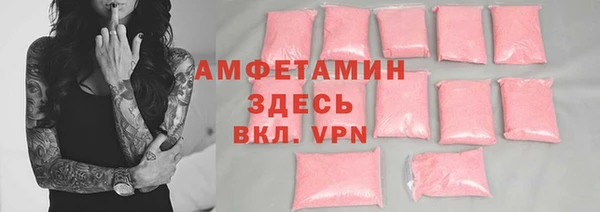 индика Алексин