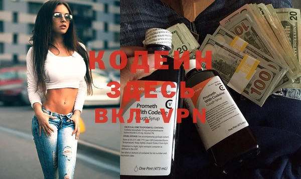 индика Алексин