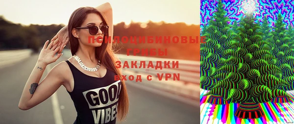 индика Алексин