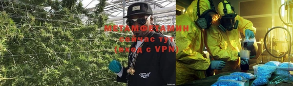 индика Алексин