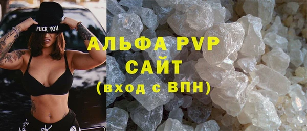 индика Алексин